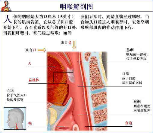 2024新澳门原料免费大全